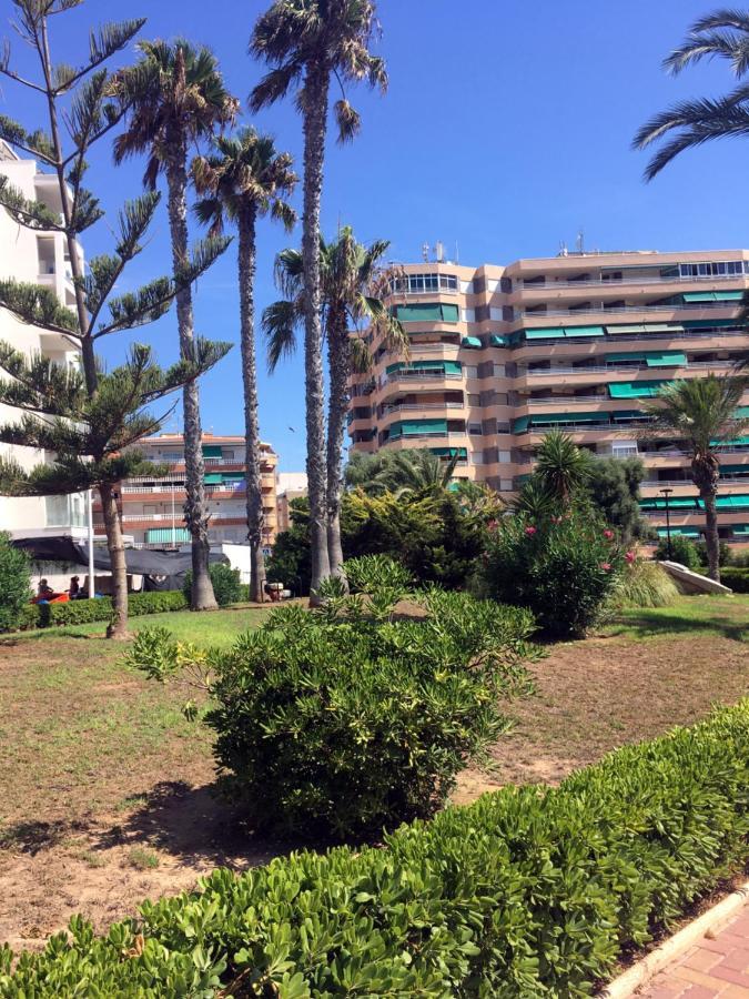 Apartmento Hana Con Terraza - Despues De La Renovacion General ラ・マタ エクステリア 写真